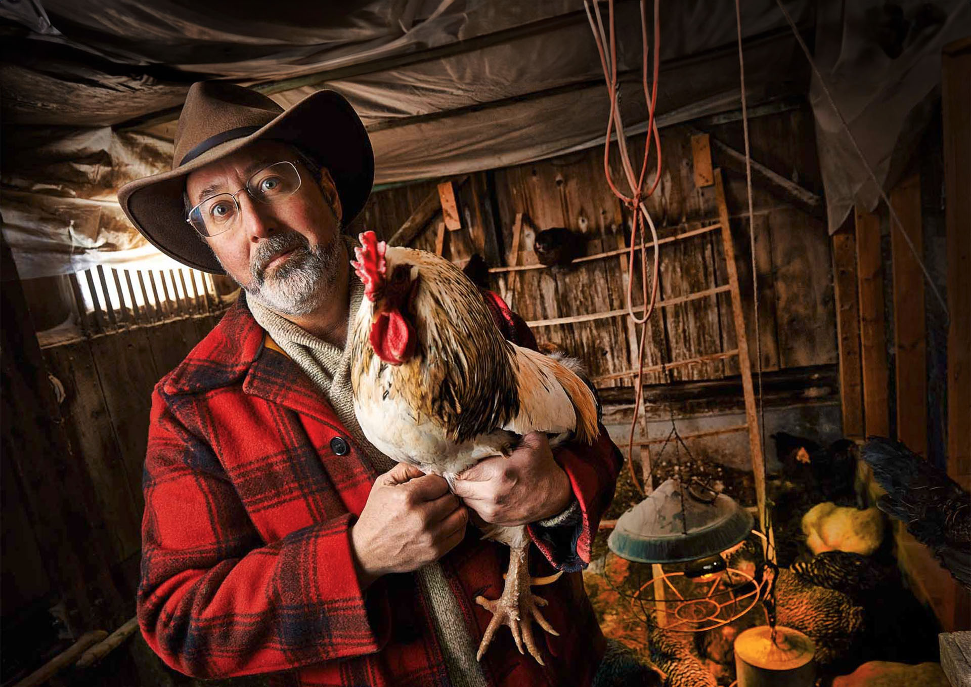 Agriculture portrait Photography of Columbus Ohio farmer holding a Chicken. Commercial photography for agriculture, healthcare and advertising